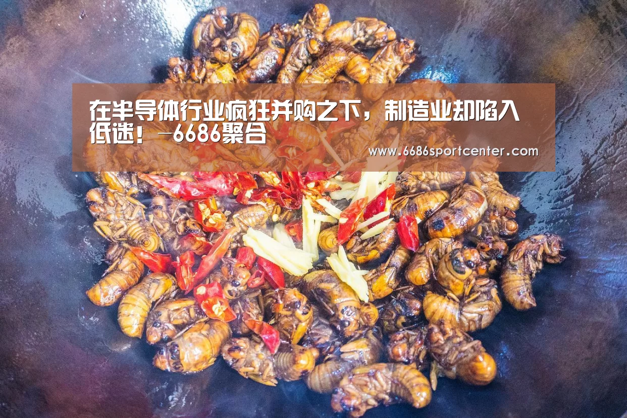 6686聚合