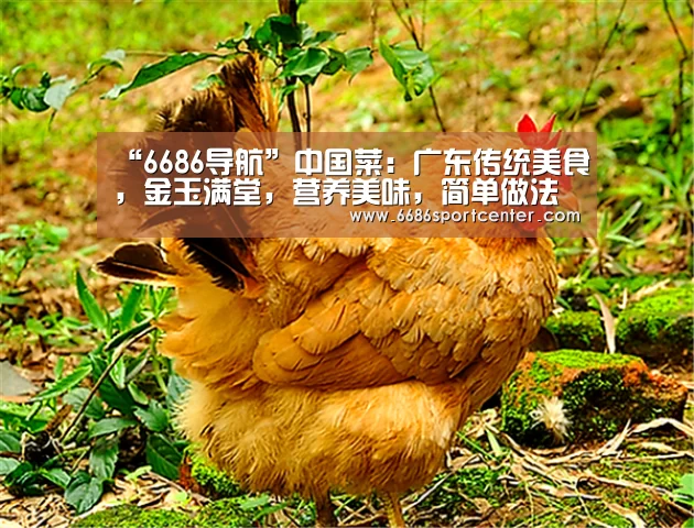 6686导航