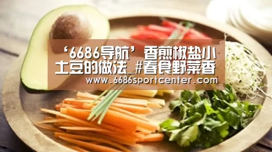 6686导航